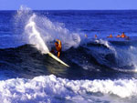 Baja Surfing - In Rosarito